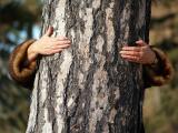 Me the Tree Lover