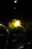 Spark of life