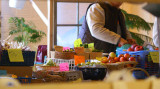 New Indoor Farmers Market