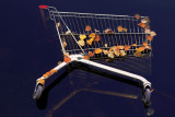 Autumn Halden 09.10.2010 - Shopper trolley in th Tista river