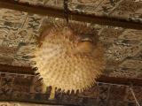 A totara (puffer fish) guarding the Totara Lounge