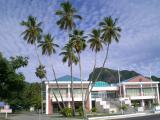 Seven-in-one coconut tree...found on the island of Takutea and replanted here