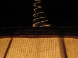 G10 Shots with Teleconverter