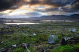 Rannoch Moor morning 10_DSC_5676