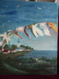 Sat de pescari