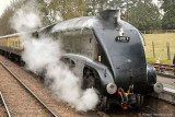 A4 at Crowcombe.