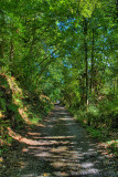 Dads Lane.