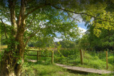 The short cut to Dads house.