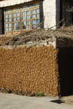 Dung paddies drying on a wall
