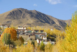 Looking north at Rabse Nunnery with autumn foliage