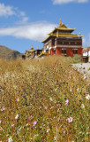 Tashilhunpo Monastery