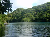 Jellyfish Lake, Palau