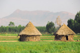 Two rondavels in a green field north of Wereta