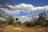 Waterhole near McBride's Camp