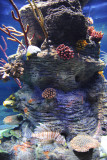 Sharjah Aquarium