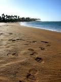 east coast, puerto rico