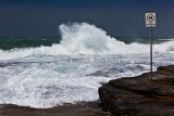 Storm at Dee Why with dog sign