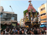 7th day - thiruthEr in thiruvEEdhi1.jpg