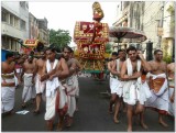 8th day morning - thiruveedhi purappadu2.jpg