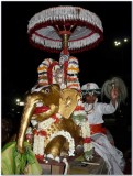 Kutti Parthasarathi another view.jpg
