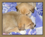 Zzzzzzzzzzzzzzzzzz