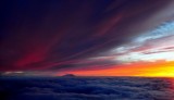 beauties in the sky