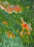 fall in Cascades
