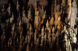 Buddhas in the Pak Ou Caves