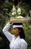 Bali Cremation Ceremony
