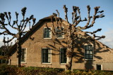 Cabauw