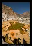 Wadi Arbean - Qurayat