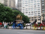 Carriage rides in New York.jpg