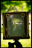 The Camera