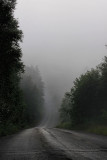 Plantation Road