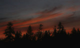Painted Sunset
