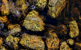 Rocks in the Stream