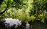 Very Green