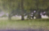 Downpour