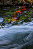 Fast Water and Red Leaves