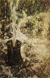 Fountain Sketch