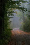 Well Traveled Path