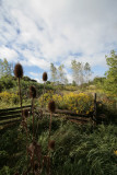 View from the Trail