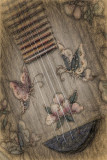 Lotus and Butterfly