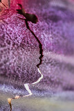 Broken Light