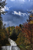 After the Rain
