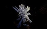 Frost Macro