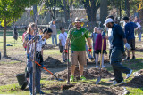 Sakura Grove Project