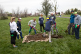 Bear Hollow Tree Planting Event 03 10 18