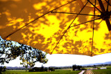 Vineyards