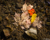 Autumn 2018